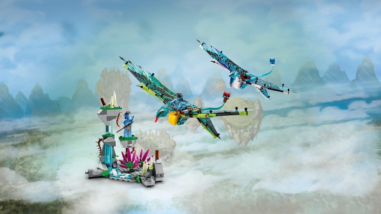 75572 LEGO® Avatar Jake & Neytiri esimene Banshee lend hind ja info | Klotsid ja konstruktorid | hansapost.ee