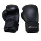 Poksikindad Bruce Lee Allround Boxing Gloves Pro, 16 oz hind ja info | Poks | hansapost.ee