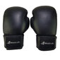 Poksikindad Bruce Lee Allround Boxing Gloves Pro, 16 oz hind ja info | Poks | hansapost.ee