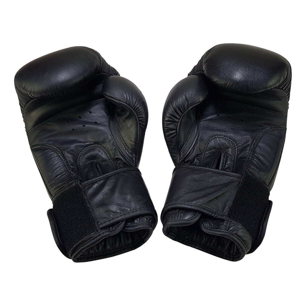 Poksikindad Bruce Lee Allround Boxing Gloves Pro, 10 oz hind ja info | Poks | hansapost.ee