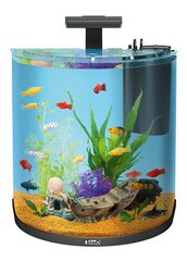 Akvaarium Tetra AquaArt Explorer Line, 60 l hind ja info | Akvaariumid ja lisatarvikud | hansapost.ee