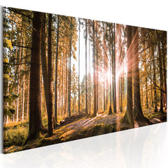 Pilt - Small Natural Wonders 135x45 cm hind ja info | Seinapildid | hansapost.ee