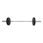 Kang Tunturi Functional Training Olympic Bar, 20 kg цена и информация | Hantlid, kangid, raskused | hansapost.ee