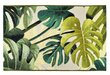 Vaip Jungle 07, 75x150 cm цена и информация | Vaibad | hansapost.ee