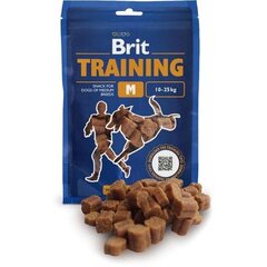 Brit maiuspalad Training Snack M, 100 g hind ja info | Koerte maiused | hansapost.ee