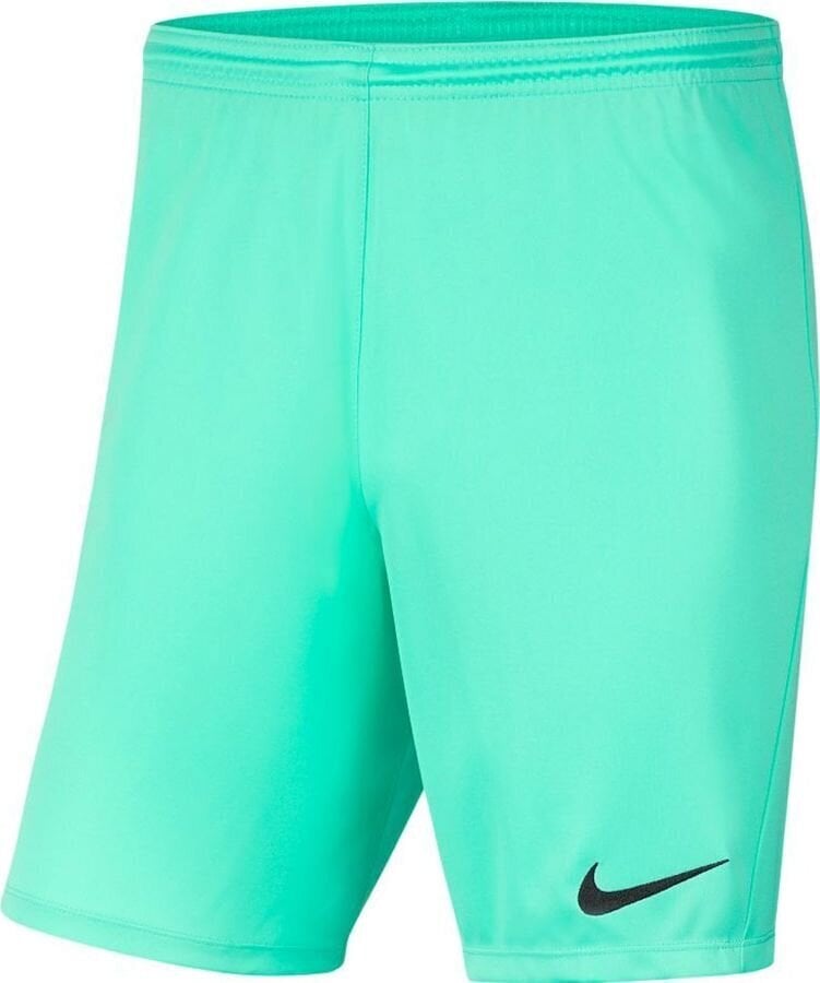 Meeste lühikesed püksid Nike Dry Park III NB K mint BV6855 354 цена и информация | Lühikesed püksid meestele | hansapost.ee