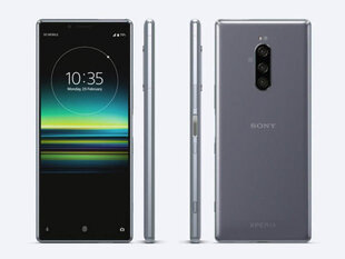 Sony Xperia 1 (J9110), 128Гб, Dual SIM, Gray цена и информация | Мобильные телефоны | hansapost.ee