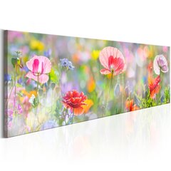 Pilt - Rainbow of Morning Poppies 135x45 cm hind ja info | Seinapildid | hansapost.ee