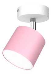 Настенный светильник DIXIE PINK/WHITE 1xGX53 цена и информация | Потолочные светильники | hansapost.ee