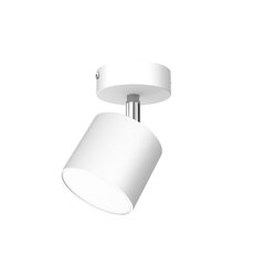 Настенный светильник DIXIE WHITE 1xGX53 цена и информация | Потолочные светильники | hansapost.ee