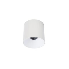 LED-valgusti Nowodvorski CL IOS 20W 3000K ANGLE 60 8744 цена и информация | Потолочные светильники | hansapost.ee