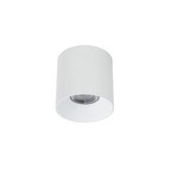 LED valgusti Nowodvorski CL IOS 30W 4000K ANGLE 60 8734 hind ja info | Laelambid | hansapost.ee