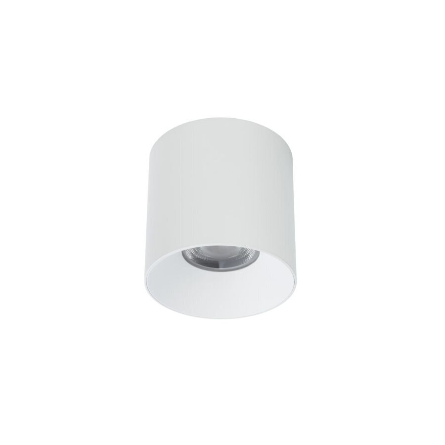 LED valgusti Nowodvorski CL IOS 30W 3000K ANGLE 36 8731 цена и информация | Laelambid | hansapost.ee