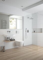 Valamu Deante Temisto CDT 6U4S price and information | Bathroom sinks, washbasins | hansapost.ee