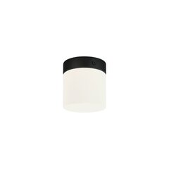 Потолочный светильник Nowodvorski Cayo 8055, черный цена и информация | Потолочные светильники | hansapost.ee