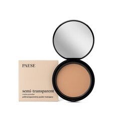 Компактный порошок Paese Semi-Transparent Matte Powder 6A, 9 г цена и информация | Пудры, базы под макияж | hansapost.ee