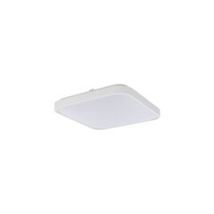 LED-laevalgusti Nowodvorski Agnes Square 8112, valge hind ja info | Laelambid | hansapost.ee