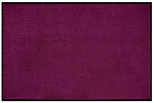 Дверной коврик Violet 40x60 см цена и информация | Придверные коврики | hansapost.ee
