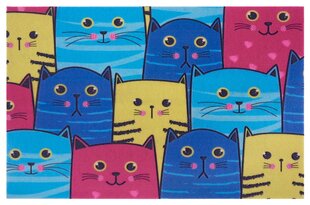 3D uksematt Cat 45x70 cm hind ja info | Uksematid | hansapost.ee