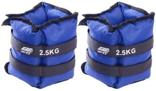 Raskused kätele ja jalgadele Eb Fit, 2x2.5 kg hind ja info | Hantlid, kangid, raskused | hansapost.ee