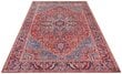 Vaip Nouristan Asmar Amata, 120x160 cm hind ja info | Vaibad | hansapost.ee