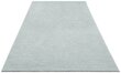 Vaip Mint Rugs Cloud 200x290 cm цена и информация | Vaibad | hansapost.ee