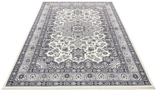 Vaip Nouristan Mirkan Parun Tabriz 120x170 cm, hall hind ja info | Nouristan Mööbel ja sisustuskaubad | hansapost.ee