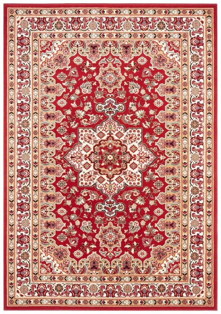 Vaip Nouristan Mirkan Parun Tabriz 200x290 cm, punane hind ja info | Vaibad | hansapost.ee