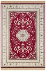 Hanse Home vaip Nouristan Naveh 160x230 cm hind ja info | Vaibad | hansapost.ee