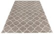 Vaip Mint Rugs Grace Luna, 160x230 cm hind ja info | Vaibad | hansapost.ee