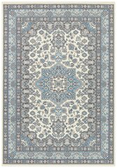 Vaip Nouristan Mirkan Parun Tabriz, 160x230 cm hind ja info | Vaibad | hansapost.ee