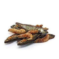 Prodac Tartafood Mix kala ja krevetid kilpkonnadele, 1200ml, 200g. hind ja info | Eksootilistele loomadele | hansapost.ee