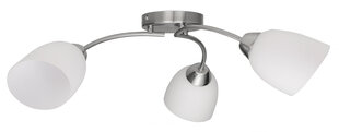 Activejet Pendant lamp AJE-BENITA 3P E27 3x40W Nikiel hind ja info | Activejet Mööbel ja sisustuskaubad | hansapost.ee