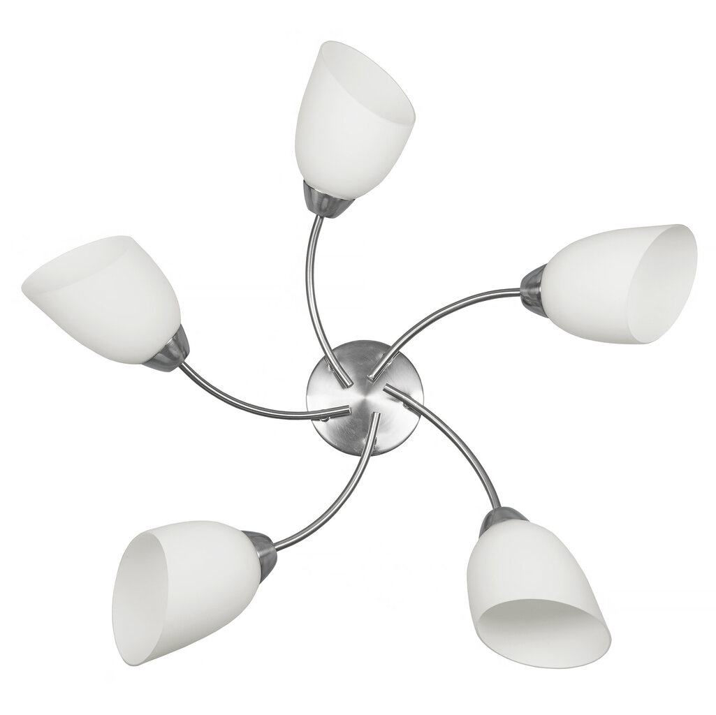 Activejet Pendant lamp AJE-BENITA 5P E27 5x40W Nikiel цена и информация | Laelambid | hansapost.ee