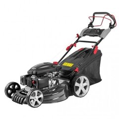 GRAPHITE 52G673 lawn mower Push lawn mower Petrol 4,35 KM 52,5 cm Black, Grey hind ja info | Muruniidukid | hansapost.ee