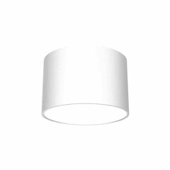 Потолочный светильник DIXIE White 1xGX53 цена и информация | Потолочные светильники | hansapost.ee