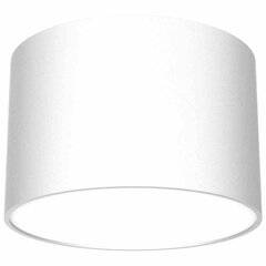 Потолочный светильник DIXIE White 1xGX53 цена и информация | Потолочные светильники | hansapost.ee