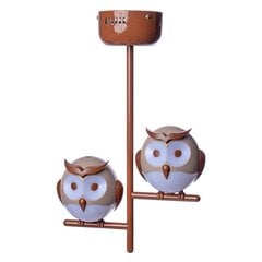 Milagro детский светильник Owl цена и информация | Детские светильники | hansapost.ee