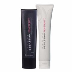 Juuksesprei Sebastian No.Breaker Bonding And Styling Leave-In Treatment Spray, 100 ml цена и информация | Средства для укладки | hansapost.ee