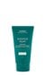 Taastav juuksemask Aveda Botanical Repair 150 ml цена и информация | Juuksemaskid, õlid ja seerumid | hansapost.ee