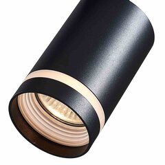Milagro потолочный светильник Pipe Ring Track Spot цена и информация | Потолочные светильники | hansapost.ee