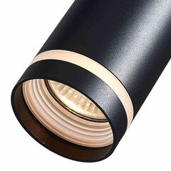 Milagro подвесной светильник Pipe Ring Track цена и информация | Потолочный светильник, 38 x 38 x 24 см | hansapost.ee