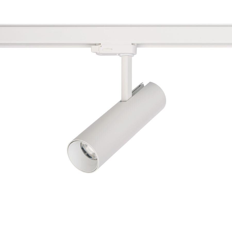 LED-valgusti Nowodvorski CTLS Milo 15W 3000K 8766 hind ja info | Rippvalgustid | hansapost.ee