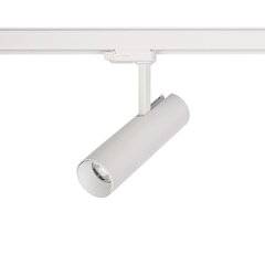 LED-valgusti Nowodvorski CTLS Milo 15W 4000K 8765 hind ja info | Rippvalgustid | hansapost.ee