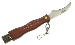 Грибной нож, 12802 цена и информация | Туристические ножи, многофункциональные приборы | hansapost.ee
