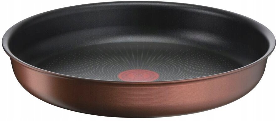 Praepann Ingenio Eco Respect 28cm Tefal цена и информация | Pannid | hansapost.ee