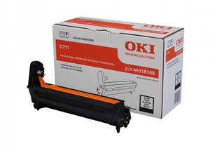 OKI Trummel EP-C711-Black 44318508 hind ja info | Tindiprinteri kassetid | hansapost.ee