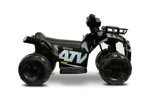 Laste elektriline ATV Toyz Raptor Black цена и информация | Электромобили для детей | hansapost.ee