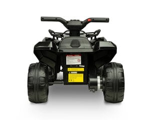 Laste elektriline ATV Toyz Raptor Black цена и информация | Электромобили для детей | hansapost.ee