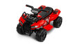 Laste elektriline neljarattaline Toyz Raptor, punane hind ja info | Laste elektriautod | hansapost.ee